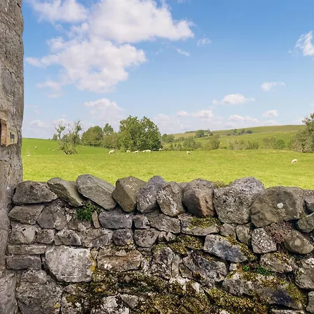 Ewes Leap Airton