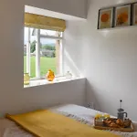 Ewes Leap Holiday home